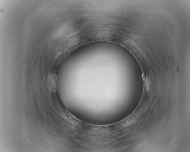 X0000088091107200705182249