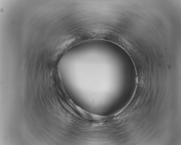 X0000088091108200705182249