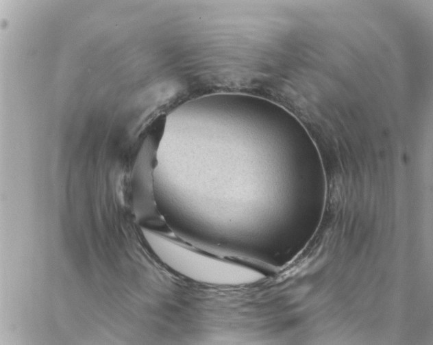 X0000088091202200705182248