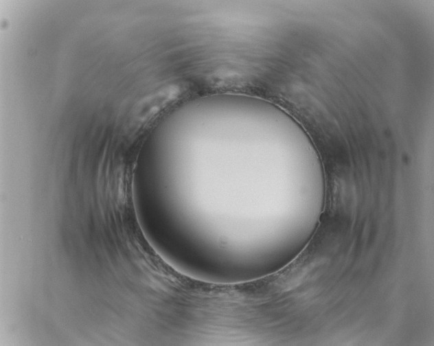 X0000088091250200705182248