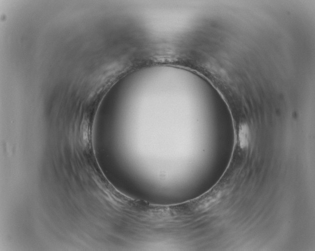 X0000088091444200705182244