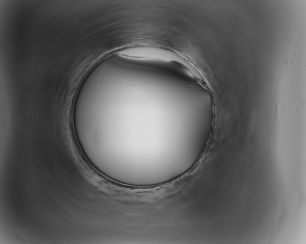 X0000088090001200705251438