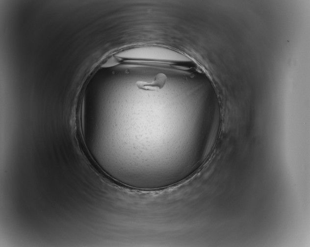 X0000088090002200705251438