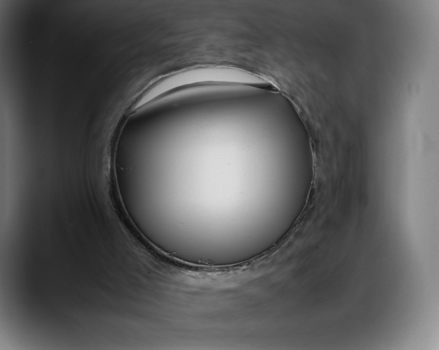 X0000088090005200705251438