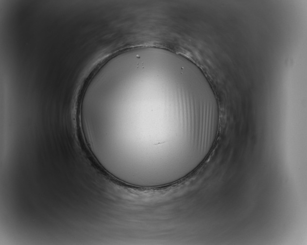 X0000088090006200705251438