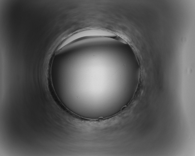 X0000088090007200705251438