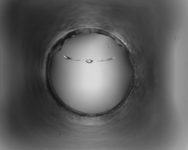 X0000088090008200705251438