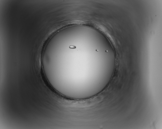 X0000088090011200705251438