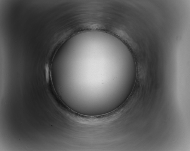 X0000088090014200705251438