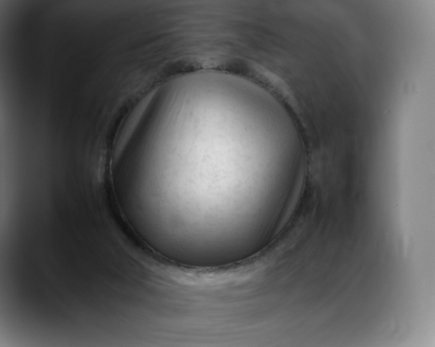 X0000088090018200705251438