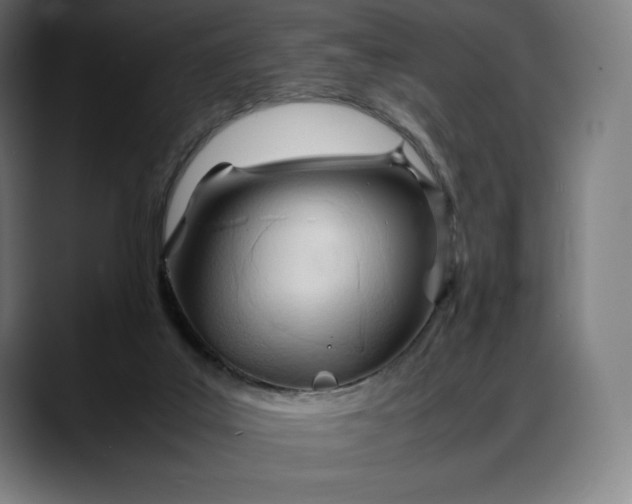 X0000088090019200705251438