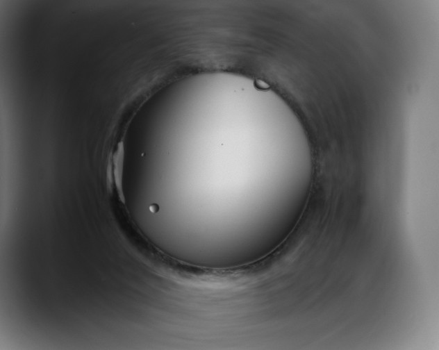 X0000088090020200705251438