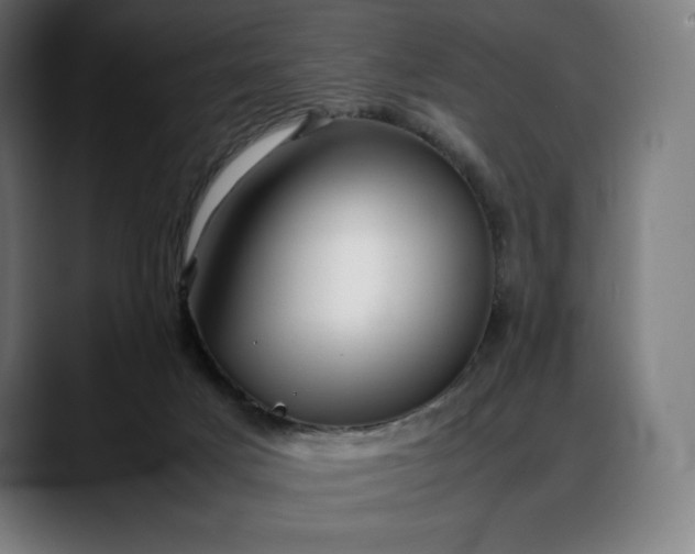 X0000088090025200705251438