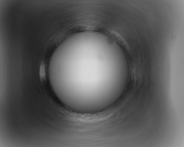 X0000088090026200705251438