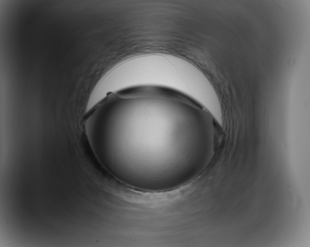 X0000088090031200705251438