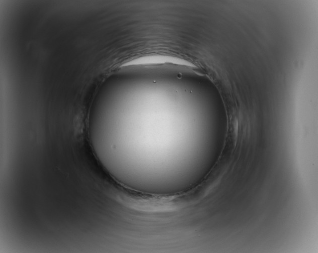 X0000088090032200705251438