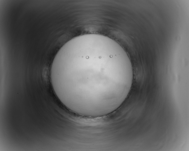 X0000088090036200705251438