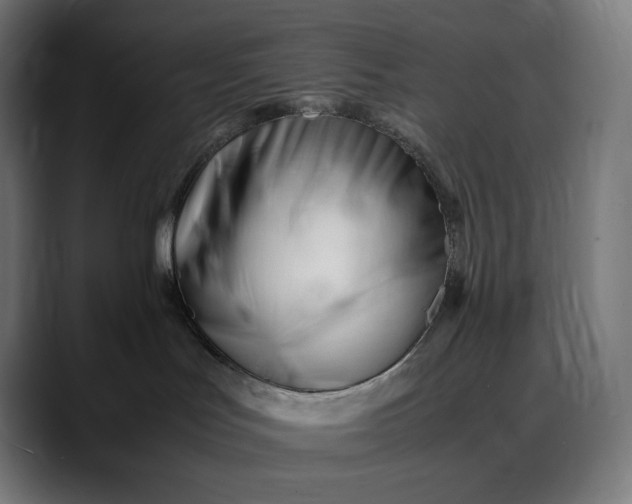 X0000088090047200705251438