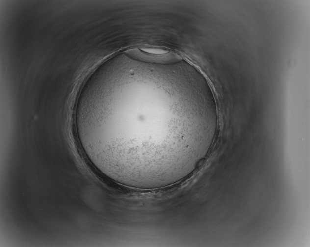 X0000088090049200705251437