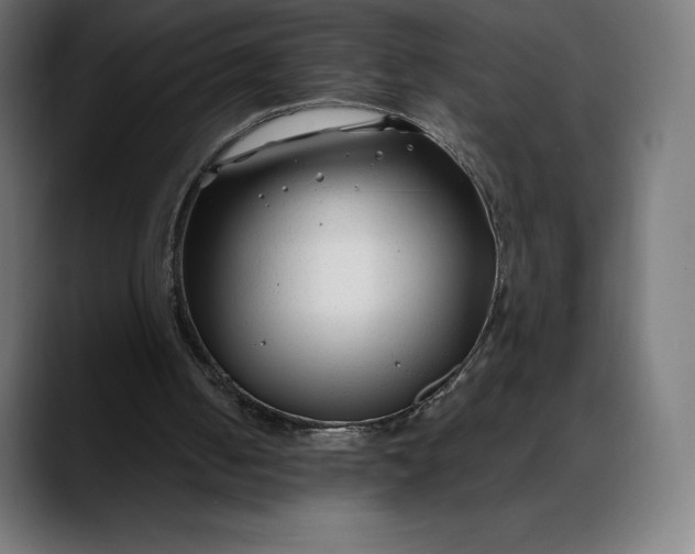 X0000088090050200705251437