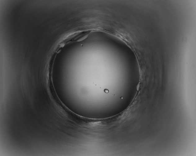 X0000088090054200705251437