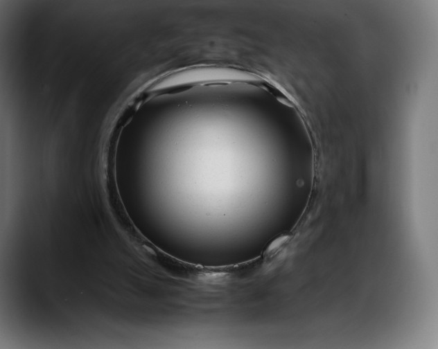 X0000088090055200705251437