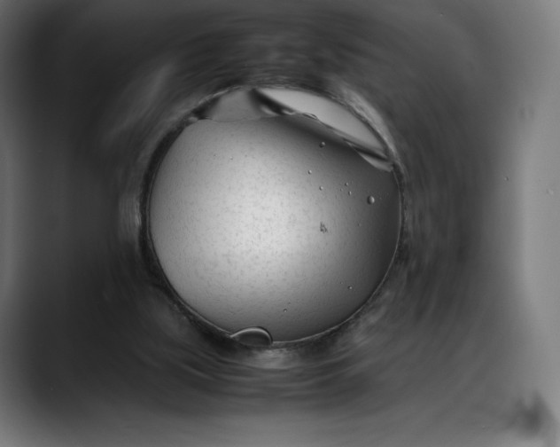 X0000088090059200705251437