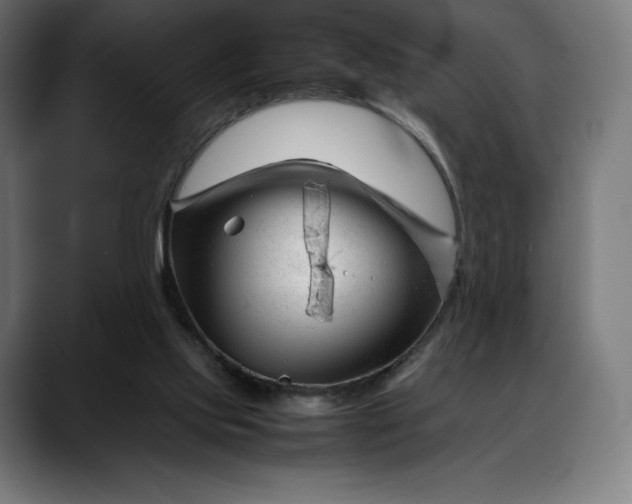 X0000088090061200705251437