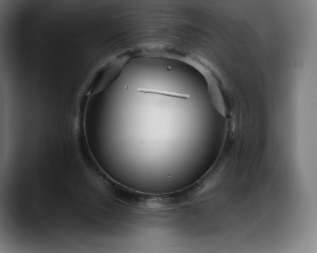 X0000088090064200705251437