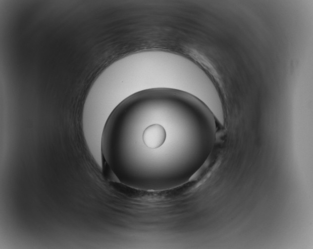 X0000088090065200705251437