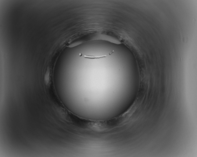 X0000088090074200705251437