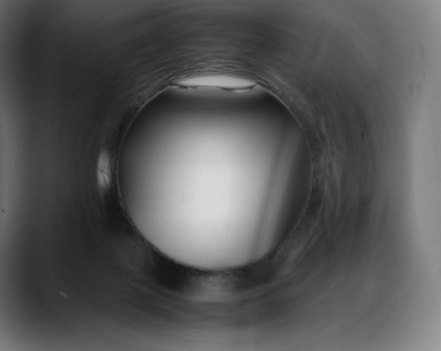 X0000088090075200705251437