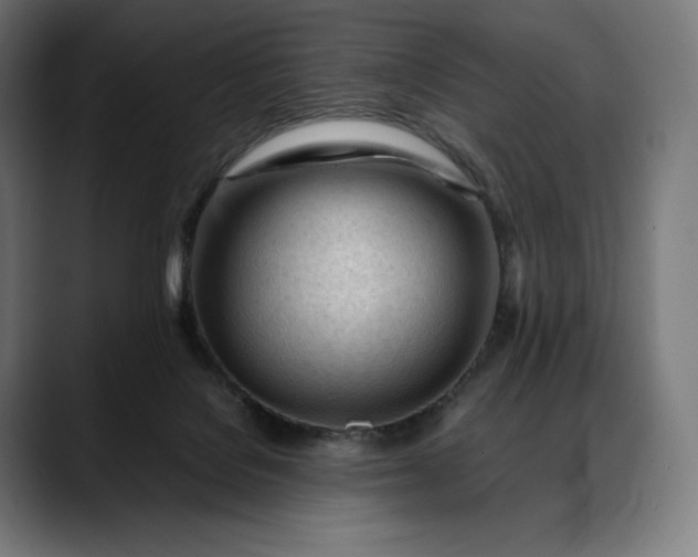 X0000088090076200705251437