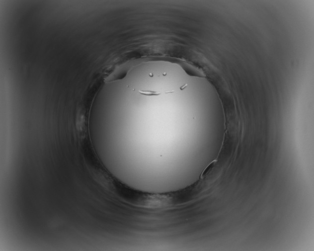 X0000088090087200705251438