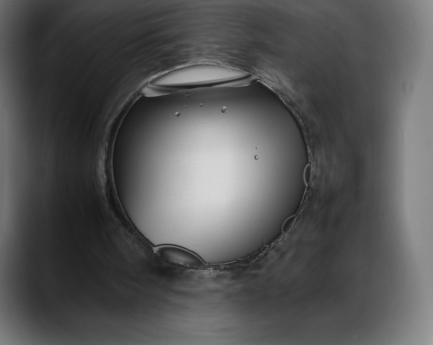 X0000088090098200705251437