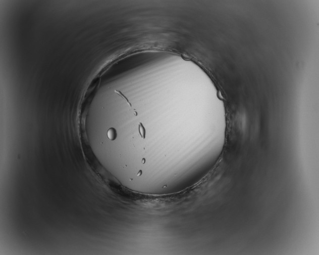 X0000088090100200705251437