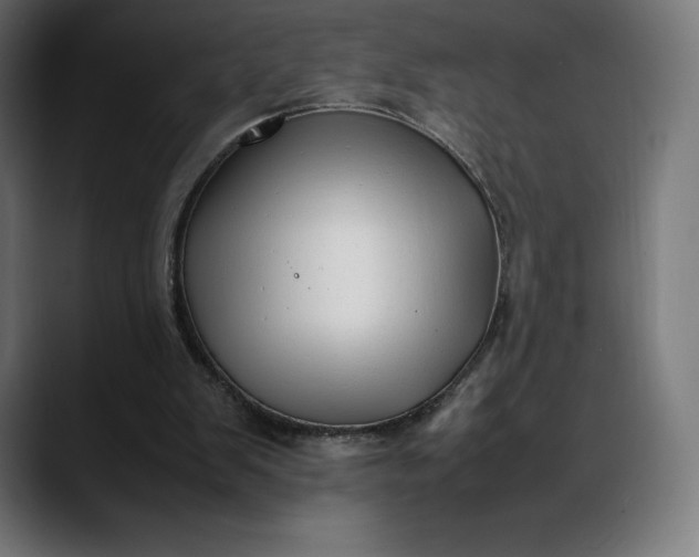 X0000088090103200705251437