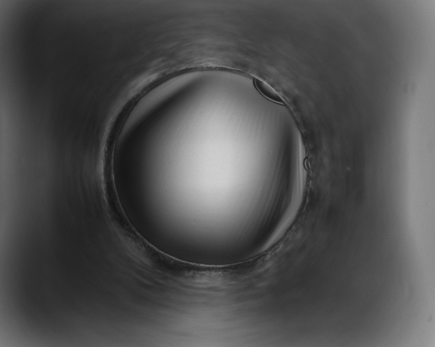 X0000088090104200705251437