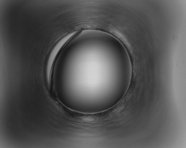 X0000088090105200705251437