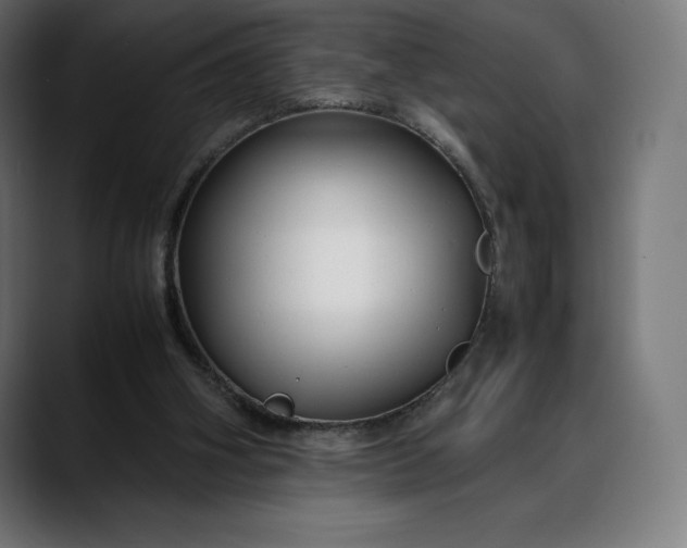 X0000088090106200705251437