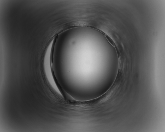 X0000088090109200705251437