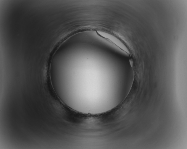 X0000088090111200705251437