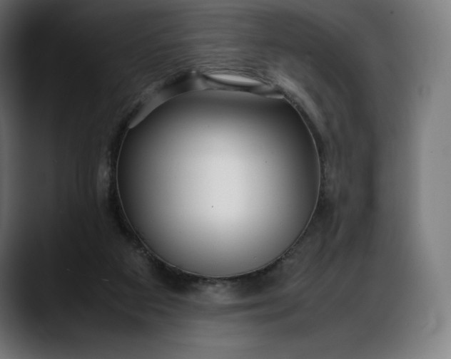 X0000088090113200705251437