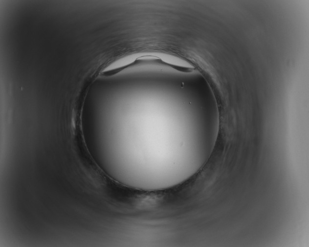 X0000088090115200705251437