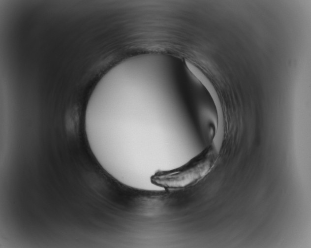 X0000088090120200705251437