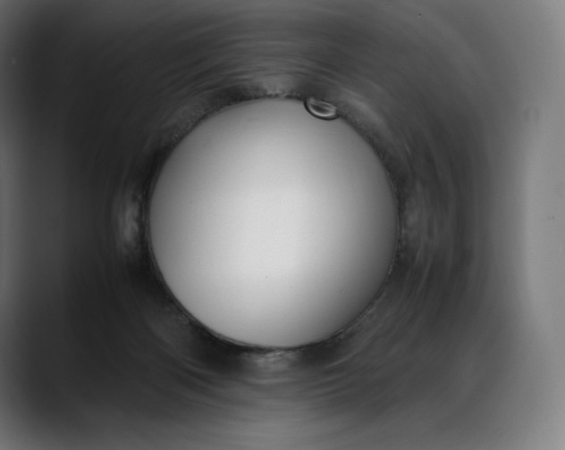 X0000088090122200705251437