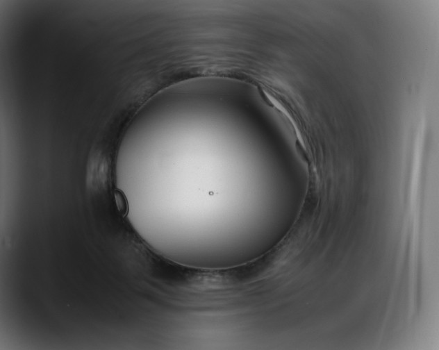 X0000088090123200705251437