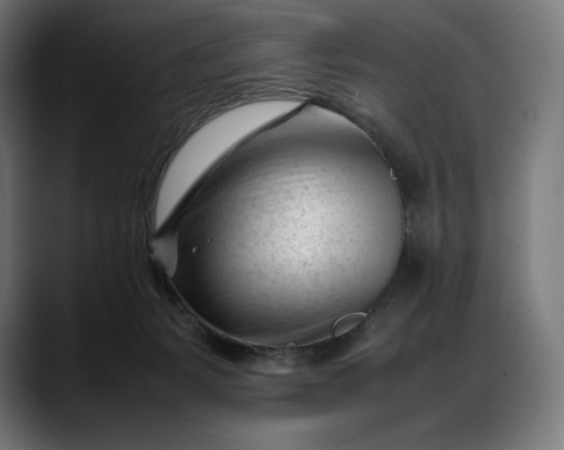 X0000088090127200705251437