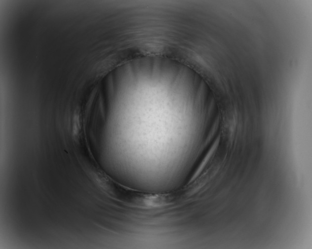 X0000088090130200705251437