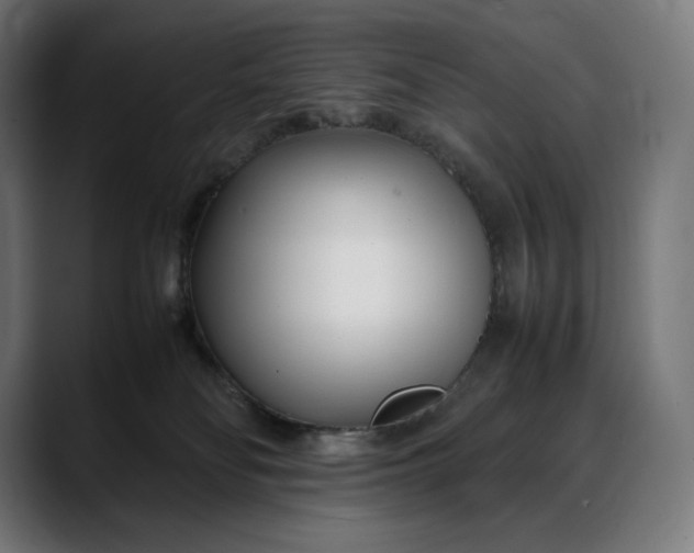 X0000088090134200705251437